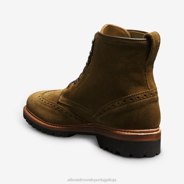 bota astor ponta de asa 848L486 verde alcaparra homensAllen Edmonds