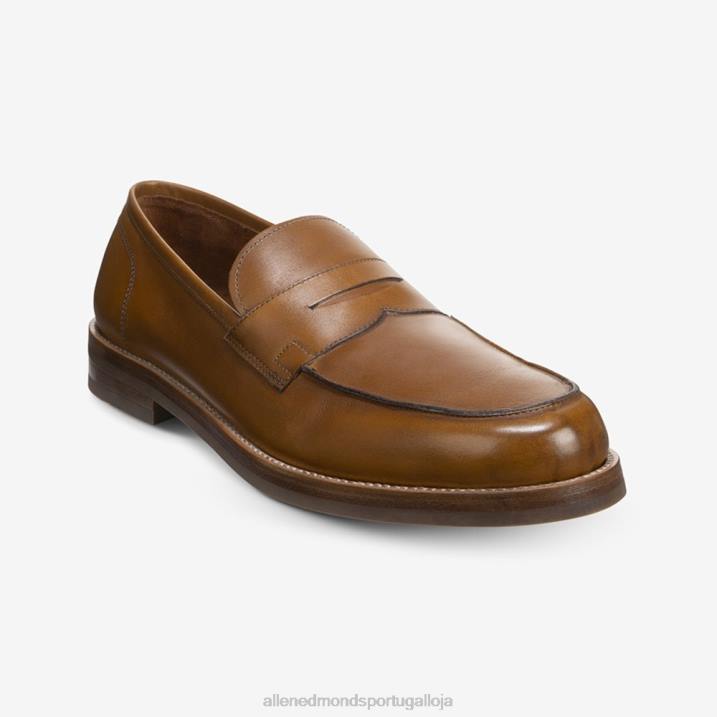 mocassim newton penny 848L70 noz homensAllen Edmonds