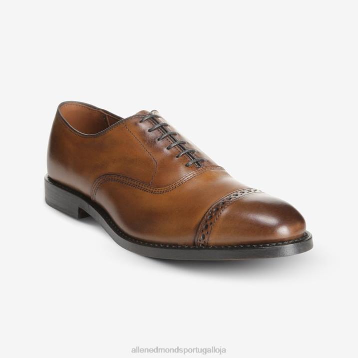 quinta avenida cap toe oxford 848L112 bourbon homensAllen Edmonds