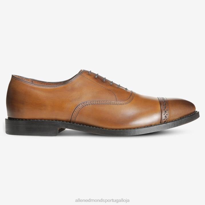 quinta avenida cap toe oxford 848L112 bourbon homensAllen Edmonds