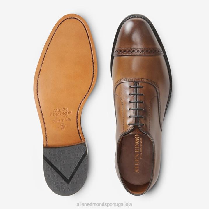 quinta avenida cap toe oxford 848L112 bourbon homensAllen Edmonds