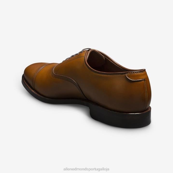 sapato social oxford bico fino park avenue 848L41 noz marrom homensAllen Edmonds