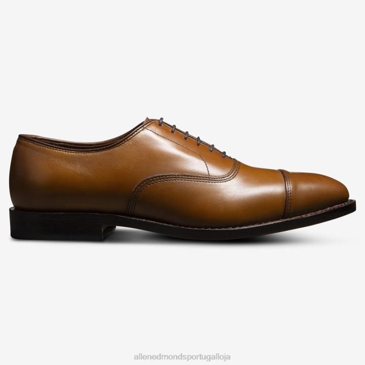 sapato social oxford bico fino park avenue 848L41 noz marrom homensAllen Edmonds