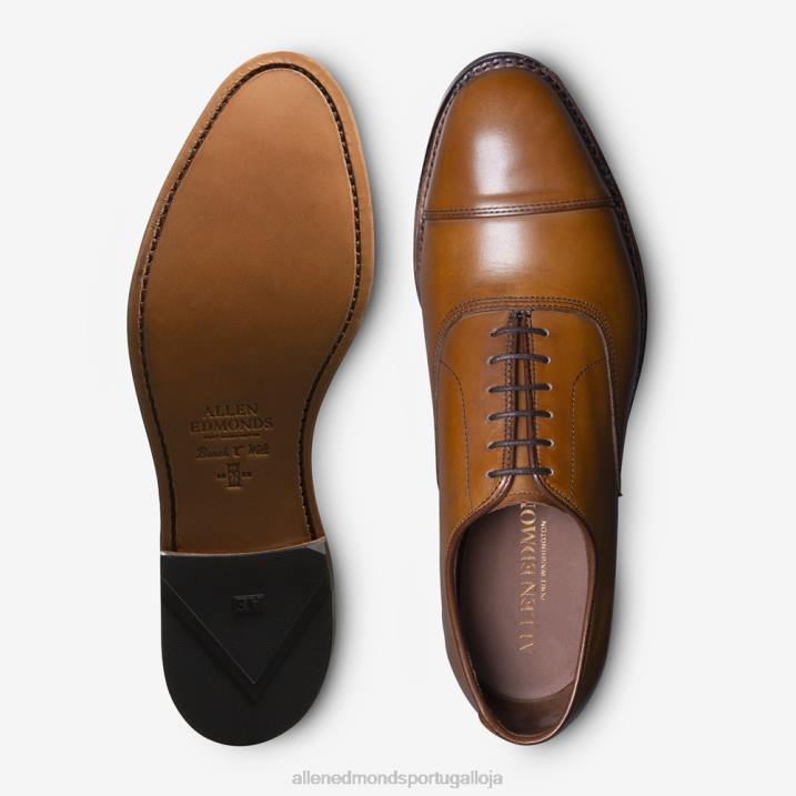 sapato social oxford bico fino park avenue 848L41 noz marrom homensAllen Edmonds