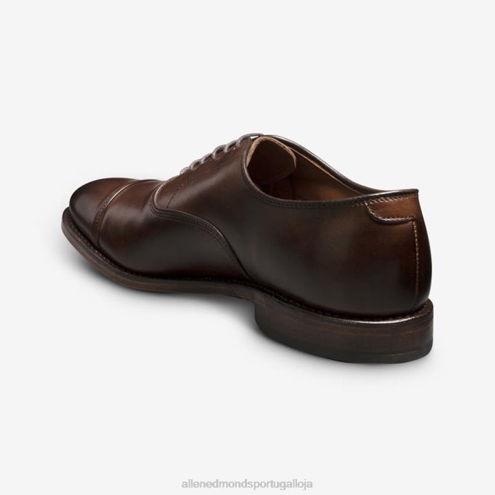 sapato social oxford bico fino park avenue 848L44 mogno homensAllen Edmonds