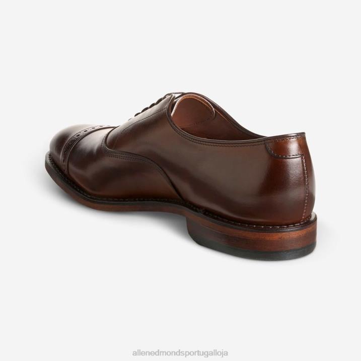 sapato social oxford bico fino quinta avenida 848L43 mogno homensAllen Edmonds