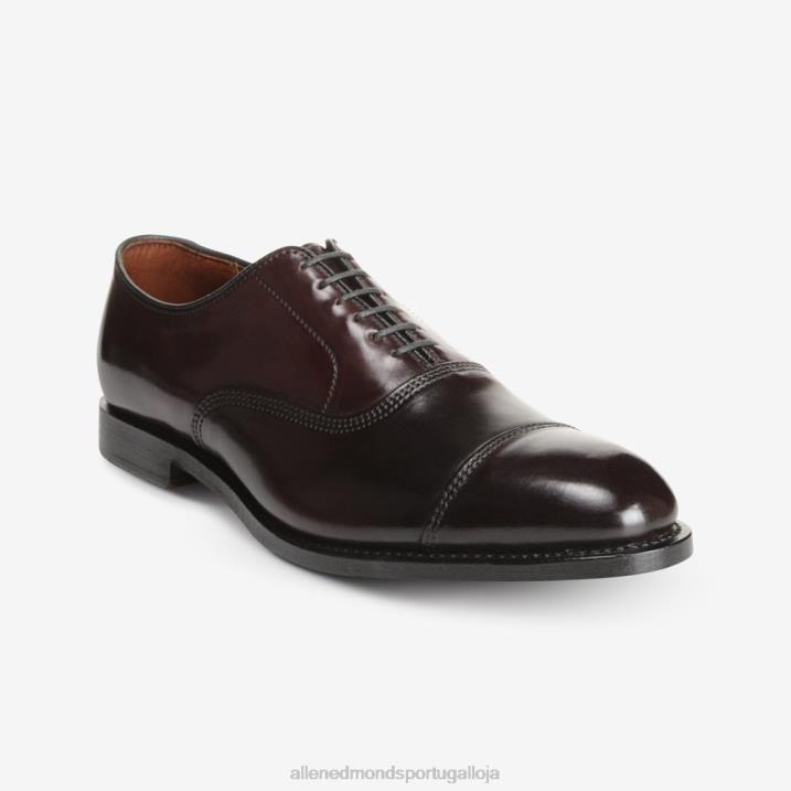 sapato social park avenue shell cordovan oxford cap toe 848L277 bordô de cordovão homensAllen Edmonds