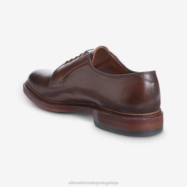 sapato social blucher vestido bico liso leeds 848L73 charuto homensAllen Edmonds