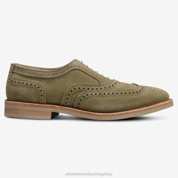 neumok camurça wingtip oxford 848L107 verde sálvia homensAllen Edmonds