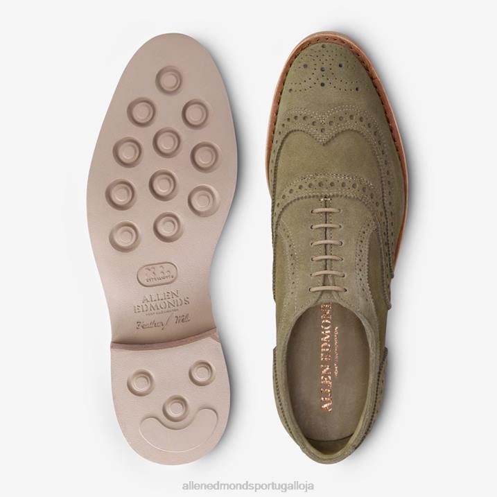 neumok camurça wingtip oxford 848L107 verde sálvia homensAllen Edmonds