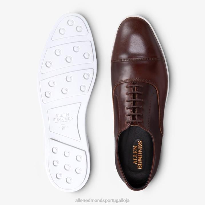 park avenue shell cordovan oxford tênis vestido 848L21 pimentão cordovan homensAllen Edmonds