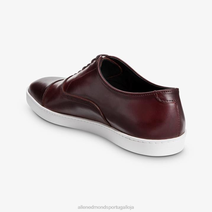 park avenue shell cordovan oxford tênis vestido 848L264 bordô de cordovão homensAllen Edmonds