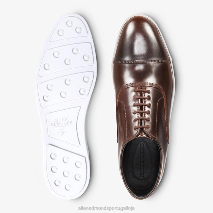 park avenue shell cordovan oxford tênis vestido 848L266 marrom homensAllen Edmonds